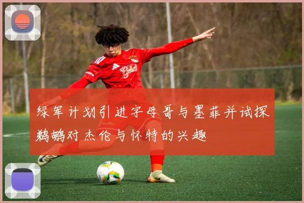 绿军计划引进字母哥与墨菲并试探鹈鹕对杰伦与怀特的兴趣