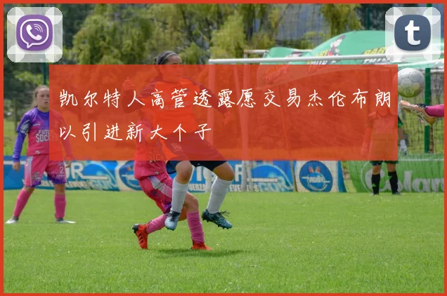 凯尔特人高管透露愿交易杰伦布朗以引进新大个子